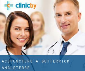 Acupuncture à Butterwick (Angleterre)