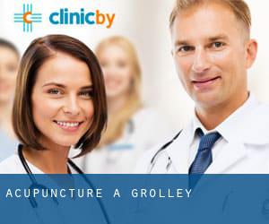 Acupuncture à Grolley