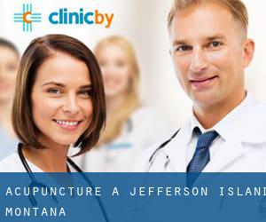 Acupuncture à Jefferson Island (Montana)