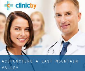 Acupuncture à Last Mountain Valley