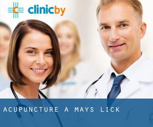 Acupuncture à Mays Lick