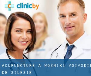 Acupuncture à Wożniki (Voïvodie de Silésie)