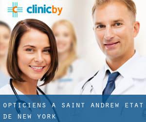 Opticiens à Saint Andrew (État de New York)