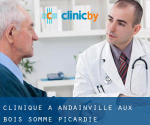 clinique à Andainville-aux-Bois (Somme, Picardie)