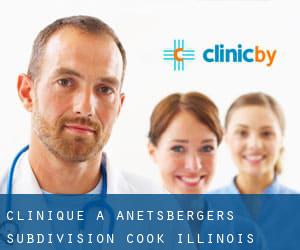 clinique à Anetsberger's Subdivision (Cook, Illinois)