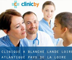 clinique à Blanche-Lande (Loire-Atlantique, Pays de la Loire)