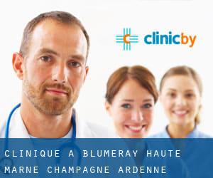 clinique à Blumeray (Haute-Marne, Champagne-Ardenne)