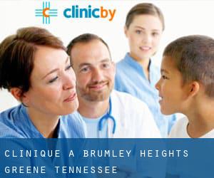 clinique à Brumley Heights (Greene, Tennessee)