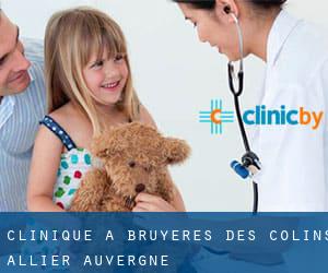 clinique à Bruyères des Colins (Allier, Auvergne)