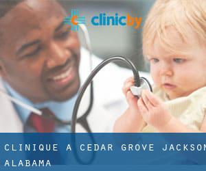 clinique à Cedar Grove (Jackson, Alabama)