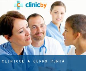 clinique à Cerro Punta