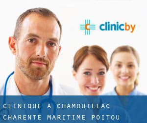 clinique à Chamouillac (Charente-Maritime, Poitou-Charentes)