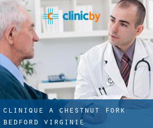 clinique à Chestnut Fork (Bedford, Virginie)