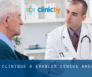 clinique à Érables (census area)