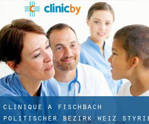 clinique à Fischbach (Politischer Bezirk Weiz, Styrie)