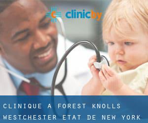 clinique à Forest Knolls (Westchester, État de New York)