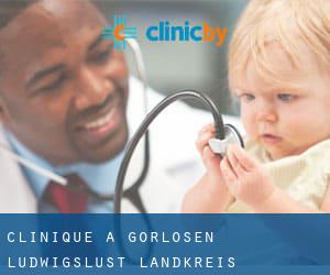 clinique à Gorlosen (Ludwigslust Landkreis, Mecklembourg-Poméranie)