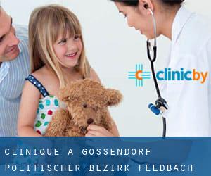 clinique à Gossendorf (Politischer Bezirk Feldbach, Styrie)