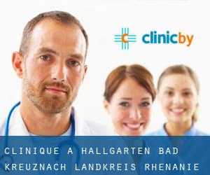 clinique à Hallgarten (Bad Kreuznach Landkreis, Rhénanie-Palatinat)
