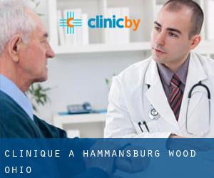 clinique à Hammansburg (Wood, Ohio)