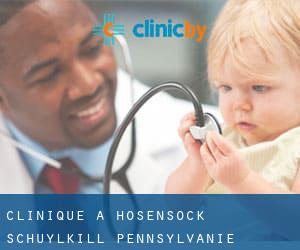 clinique à Hosensock (Schuylkill, Pennsylvanie)