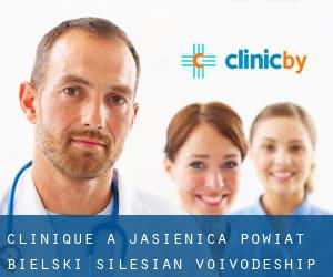clinique à Jasienica (Powiat bielski (Silesian Voivodeship), Voïvodie de Silésie)