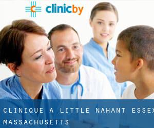 clinique à Little Nahant (Essex, Massachusetts)