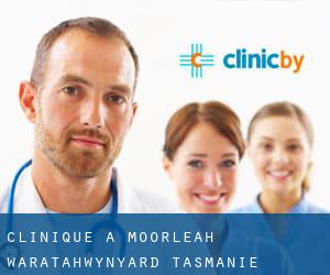 clinique à Moorleah (Waratah/Wynyard, Tasmanie)
