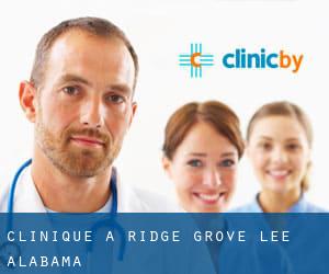 clinique à Ridge Grove (Lee, Alabama)