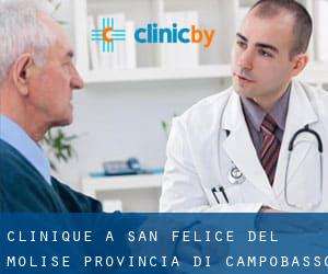 clinique à San Felice del Molise (Provincia di Campobasso, Molise)