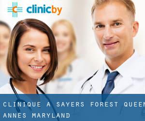 clinique à Sayers Forest (Queen Anne's, Maryland)