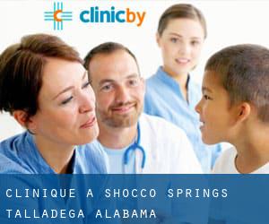 clinique à Shocco Springs (Talladega, Alabama)