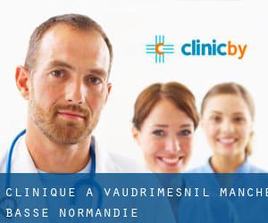 clinique à Vaudrimesnil (Manche, Basse-Normandie)