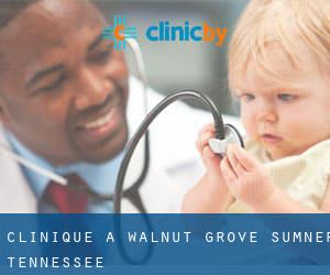 clinique à Walnut Grove (Sumner, Tennessee)